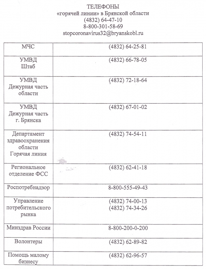 3181812.jpg