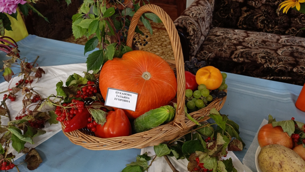 IMG20250909115145.jpg